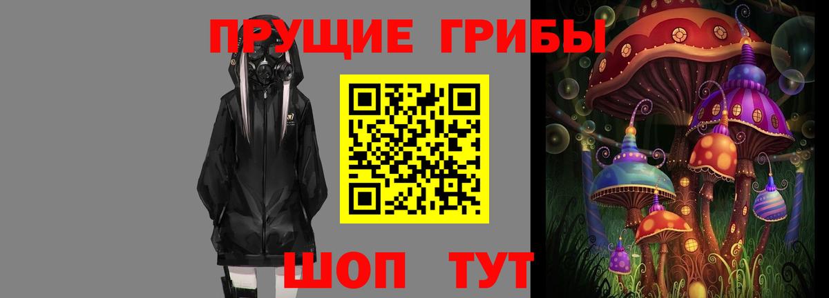 Галлюциногенные грибы Psilocybe  Вход с VPN  Каспийск 